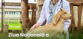 Republica Moldova marchează Ziua națională a medicului veterinar