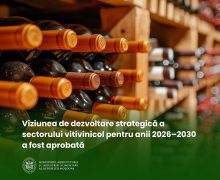 Sectorul vitivinicol al Republicii Moldova are o Viziune de dezvoltare pentru anii 2026–2030