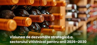 Sectorul vitivinicol al Republicii Moldova are o Viziune de dezvoltare pentru anii 2026–2030