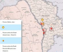 Focare de rabie și pesta porcină africană înregistrate în țară