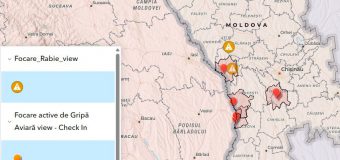 Focare de rabie și pesta porcină africană înregistrate în țară