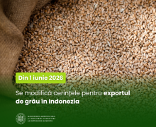 Din 1 iunie 2026, se modifică cerințele pentru exportul de grâu în Indonezia