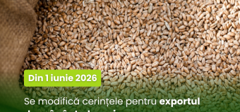 Din 1 iunie 2026, se modifică cerințele pentru exportul de grâu în Indonezia