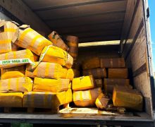 ANSA a distrus 10 tone de mărar de import contaminate cu pesticide