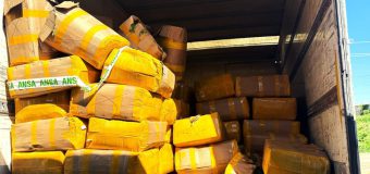 ANSA a distrus 10 tone de mărar de import contaminate cu pesticide
