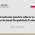 Parlamentul găzduiește vizita deputaților polonezi din Comisia pentru afaceri externe