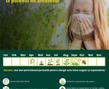 Luna iunie dedicată campaniei „Fără Ambrozie”