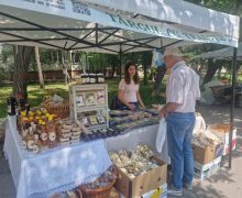 Târguri cu produse locale vor avea loc în weekend la Chișinău