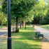 Continuă modernizarea Parcului „Valea Trandafirilor”