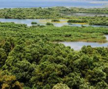 Ministrul Mediului: Nivelul apei în lacul de acumulare Novodnistrovsk a scăzut cu încă 25 cm