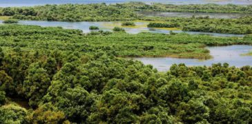 Ministrul Mediului: Nivelul apei în lacul de acumulare Novodnistrovsk a scăzut cu încă 25 cm