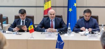 Pavel Voicu a moderat o ședință comună cu participarea Comisiei de la Veneția și a opoziției parlamentare