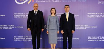 (FOTO) Peste 50 de delegații participă la cea de-a 135-a Sesiune Ministerială a Comitetului de Miniștri al Consiliului Europei