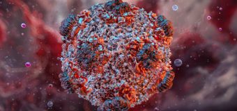 Autoritățile intensifică măsurile de supraveghere, prevenire și vigilență în contextul infecției cu hantavirus