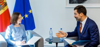 Reforma justiției și lupta anticorupție, discutate de șefa statului și președintele Grupului Statelor împotriva Corupției la Strasbourg