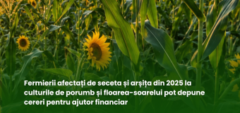 Fermierii afectați de seceta și arșița din 2025 pot depune la AIPA cereri pentru ajutorul financiar de 50 mln. de lei