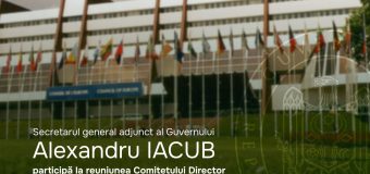 Secretarul general adjunct al Guvernului la reuniunea Comitetului Director pentru Democrație al Consiliului Europei