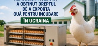 Republica Moldova a obținut dreptul de a exporta ouă pentru incubare în Ucraina