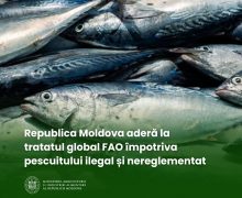 Republica Moldova aderă la tratatul global FAO împotriva pescuitului ilegal și nereglementat