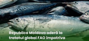 Republica Moldova aderă la tratatul global FAO împotriva pescuitului ilegal și nereglementat