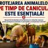Protejarea animalelor pe timp de caniculă: recomandările ANSA pentru deținătorii de animale