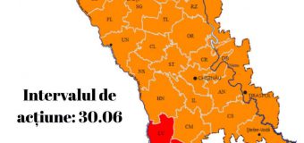 Cod Portocaliu și Galben de temperaturi ridicate