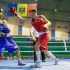 Campionatul Național de Box rezervat seniorilor. Lista câștigătorilor