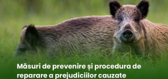 Măsuri de prevenire și procedura de reparare a prejudiciilor cauzate culturilor agricole de către mistreți