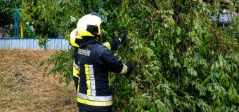 Salvatorii și pompierii – solicitați să intervină în mai multe situații de risc urmare a ploilor și rafalelor de vânt