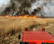 25 de hectare de grâu au fost salvate de pompieri în raionul Telenești