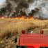 25 de hectare de grâu au fost salvate de pompieri în raionul Telenești