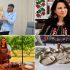 Proiectul municipiului Chișinău privind promovarea turismului la nivel local este dat drept exemplu pe pagina web oficială a Interreg Danube Program