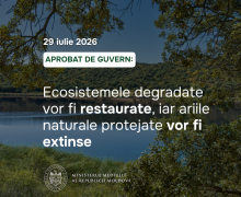 Păduri, ape și habitate naturale mai bine protejate: Guvernul a aprobat Programul privind diversitatea biologică