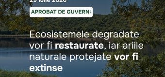 Păduri, ape și habitate naturale mai bine protejate: Guvernul a aprobat Programul privind diversitatea biologică