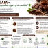 Ziua Mondială a Ciocolatei marcată astăzi