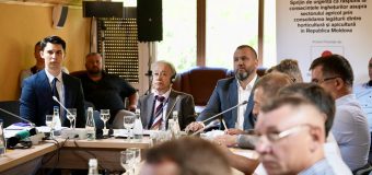 FAO și Japonia sprijină pomicultorii și apicultorii din Republica Moldova să se pregătească pentru viitoarele provocări climatice