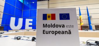 Parlamentul găzduiește vizita deputaților germani din Grupul de prietenie cu țara noastră