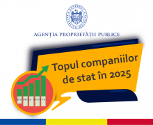 Profit de 3,1 miliarde de lei generate de companiile statului în 2025