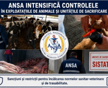ANSA desfășoară o campanie amplă de controale oficiale ce vizează toate tipurile de exploatații de animale, cât și abatoarele