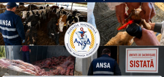ANSA desfășoară o campanie amplă de controale oficiale ce vizează toate tipurile de exploatații de animale, cât și abatoarele