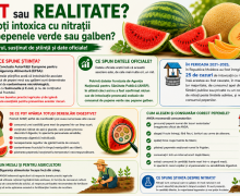 Poți face intoxicație cu nitrați după ce mănânci pepene verde? Explicațiile ANSA