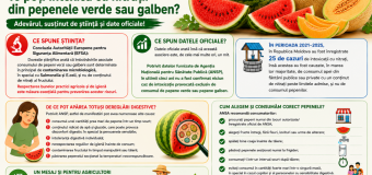 Poți face intoxicație cu nitrați după ce mănânci pepene verde? Explicațiile ANSA