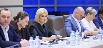 Irina Vlah, la Parlament: Articolul 21 din Legea privind partidele, în redacția actuală, este un instrument periculos care poate fi folosit împotriva oricărui concurent politic