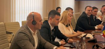 Pavel Voicu a participat la o ședință comună cu membrii Comisiei de la Veneția