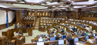 Lucrătorii independenți vor putea beneficia de indemnizație de maternitate și alte prestații sociale