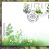 Poșta Moldovei pune în circulație seria de mărci poștale „Natura vindecătoare. Plante medicinale”