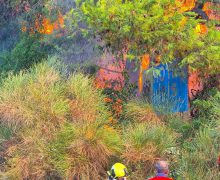 Pompierii moldoveni și cei eleni au lichidat un incendiu forestier de proporții în Kassandra, Grecia