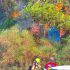 Pompierii moldoveni și cei eleni au lichidat un incendiu forestier de proporții în Kassandra, Grecia