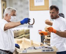 Colecționarul Petru Costin, aproape de al treilea Record Mondial Guinness, cu cea mai mare colecție de potcoave din lume