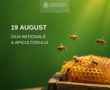 Astăzi este marcată Ziua Națională a Apicultorului